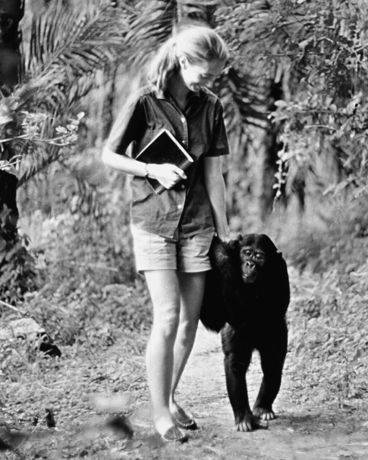 Jane Goodall, renowned chimpanzee researcher and animal advocate, dies at 91