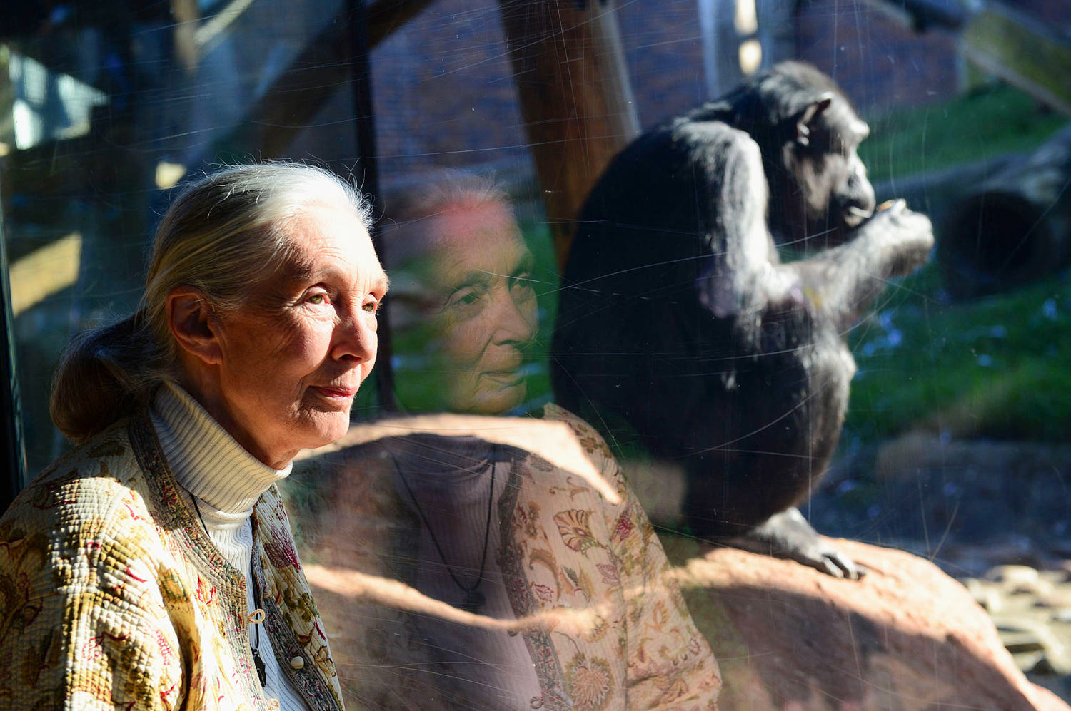 Her legacy as a chimpanzee researcher and animal rights advocate